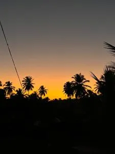 Stay In Woods - Chicalim