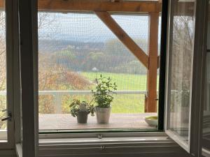 Stupa-Rezi-Tatika-Haz