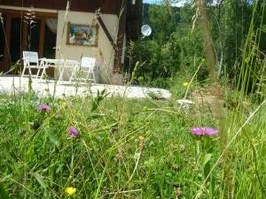 Gite de Mailhac - Dalou