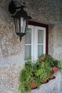 O Aconchego das Raízes