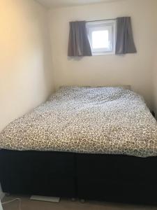 Uniek overnachten in een Tiny House op de Appelhof