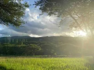 Gaia’s Grace Farm Cottage - Rietvlei