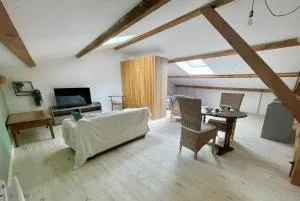 LES VIEUX PLATANES - La Farlède