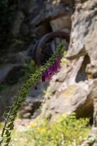 JS Feriendomizile: FeWo Nest