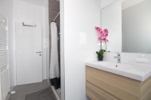 Modern Villa Anna with outdoor pool in Visnjan