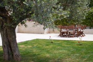 Modern Villa Anna with outdoor pool in Visnjan