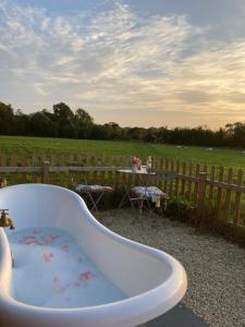 Marsh Farm Glamping Flittermouse Shepherd Hut
