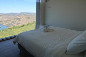 Stay at the Winemaker