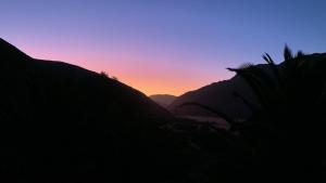 Elqui Valley Avocado Farm