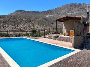 Elqui Valley Avocado Farm