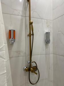 Apartment Villa Virginia