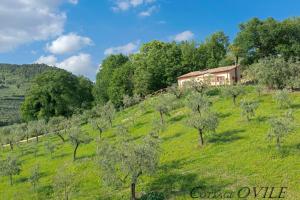 Agriturismo Cuore Verde Cottage Ovile