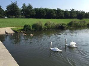 Appartements Jade Apart Bussy Centre Disney 10min : photos des chambres