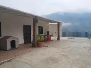 Finca La Gabriela - Heliconia