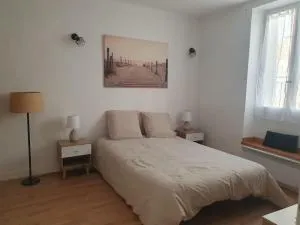 Appartement central - 尼翁