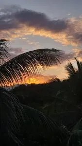 Marqueses's Residents - Tanauan