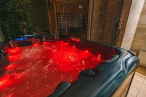 Spa appartement O temps suspendu Reims centre sauna et jacuzzi