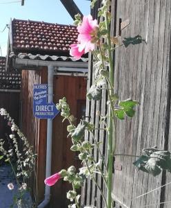 Maisons de vacances Lanton, la petite maison de vos vacances : photos des chambres