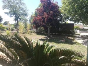 Maisons de vacances Lanton, la petite maison de vos vacances : photos des chambres