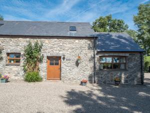 Briallen Aberystwyth