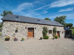 Briallen Aberystwyth