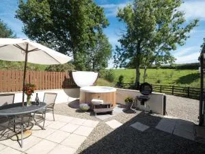 Briallen Aberystwyth - Llansantffraid