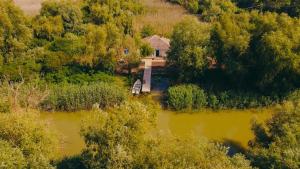 Pike Out Delta Dunarii