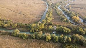 Pike Out Delta Dunarii