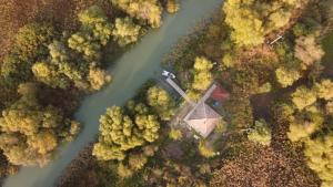 Pike Out Delta Dunarii