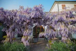 FARM HOUSE - Portegrandi