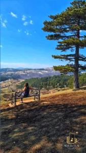 SkyLine Lux 2 Apartman Zlatibor