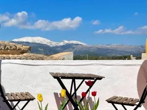 Can Feliu House by Slow Villas - Búger