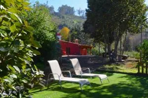 Sombra del Laurel - Teror