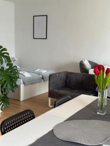 Apartmán ERUDITO XXVI centrum Jihlava