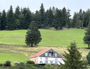 Maison d'Hôtes des Hauts de la Piquante Pierre - 科尔尼蒙