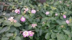 8-17 Nomura Motomachi - House / Vacation STAY 1894 - Ubytování bez kategorie ve městě Hirakata