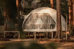 Eco Lanta Hideaway Beach Resort