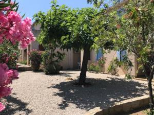 Appartements Residence Motel Corsicana : photos des chambres