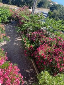 Appartements Residence Motel Corsicana : photos des chambres