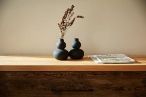 Binnendiek Haus 3 Apartment 6