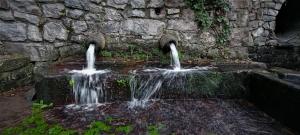 Il Portico Rosa img69