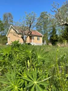 Familjehuset Sunnemo - Sunnemo