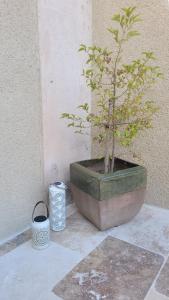 Appartements Gite La Genestiere au milieu des vignes, piscine partagee : photos des chambres