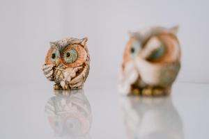 Historic Bucharest Hideway