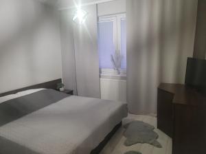 Przytulny Apartament na Wspólnej