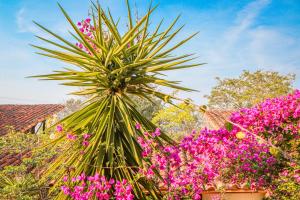 Hotel El Cogollo By MH