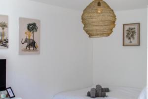 Studio Clémentine Montpellier