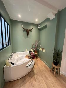 Appartements Le Nid d'Eliyah, suites avec jacuzzi 15min Disneyland Paris : photos des chambres