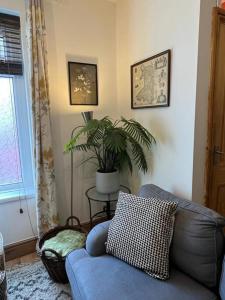 2 Just the Splott Sleeps 6 8mins to Stadium