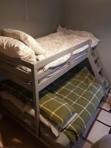 2 Just the Splott Sleeps 6 8mins to Stadium